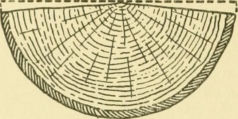 An illustration from Modern cabinet work, furniture & fitments; an account of the theory & practice in the production of all kinds of cabinet work & furniture with chapters on the growth and progress of design and construction; illustrated by over 1000 practical workshop drawings, photographs & original designs, 1922, leaf 447