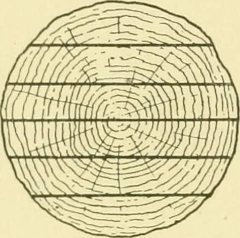 An illustration from Modern cabinet work, furniture & fitments; an account of the theory & practice in the production of all kinds of cabinet work & furniture with chapters on the growth and progress of design and construction; illustrated by over 1000 practical workshop drawings, photographs & original designs, 1922, leaf 449