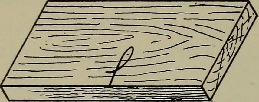 An illustration from Modern cabinetwork, furniture & fitments; an account of the theory & practice in the production of all kinds of cabinetwork & furniture, with chapters on the growth and progress of design and construction;, 1910, leaf 119