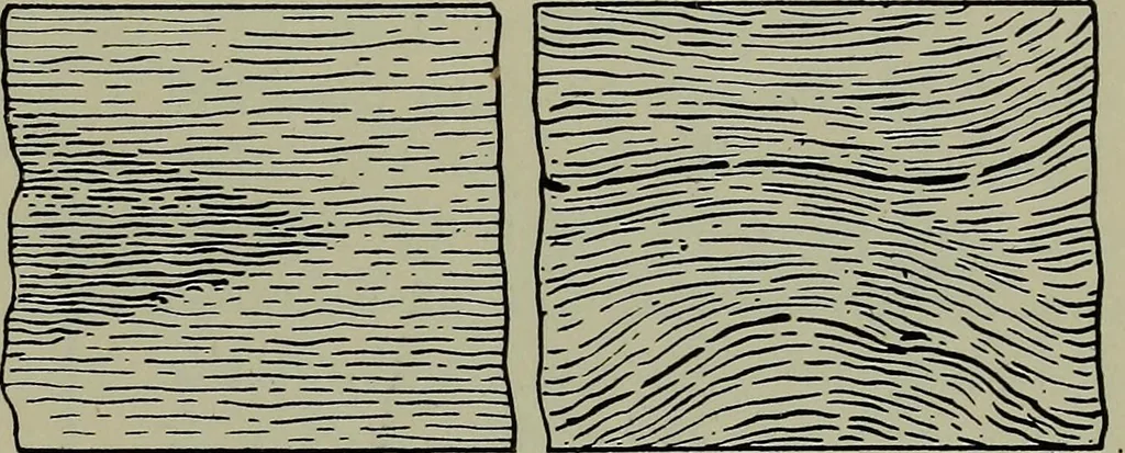 An illustration from Modern cabinetwork, furniture & fitments; an account of the theory & practice in the production of all kinds of cabinetwork & furniture, with chapters on the growth and progress of design and construction;, 1910, leaf 288