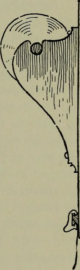 An illustration from Modern cabinetwork, furniture & fitments; an account of the theory & practice in the production of all kinds of cabinetwork & furniture, with chapters on the growth and progress of design and construction;, 1910, leaf 304