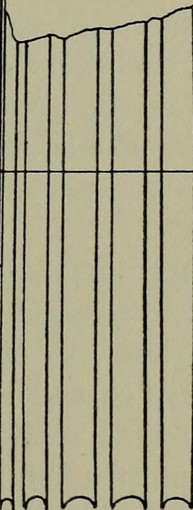 An illustration from Modern cabinetwork, furniture & fitments; an account of the theory & practice in the production of all kinds of cabinetwork & furniture, with chapters on the growth and progress of design and construction;, 1910, leaf 308