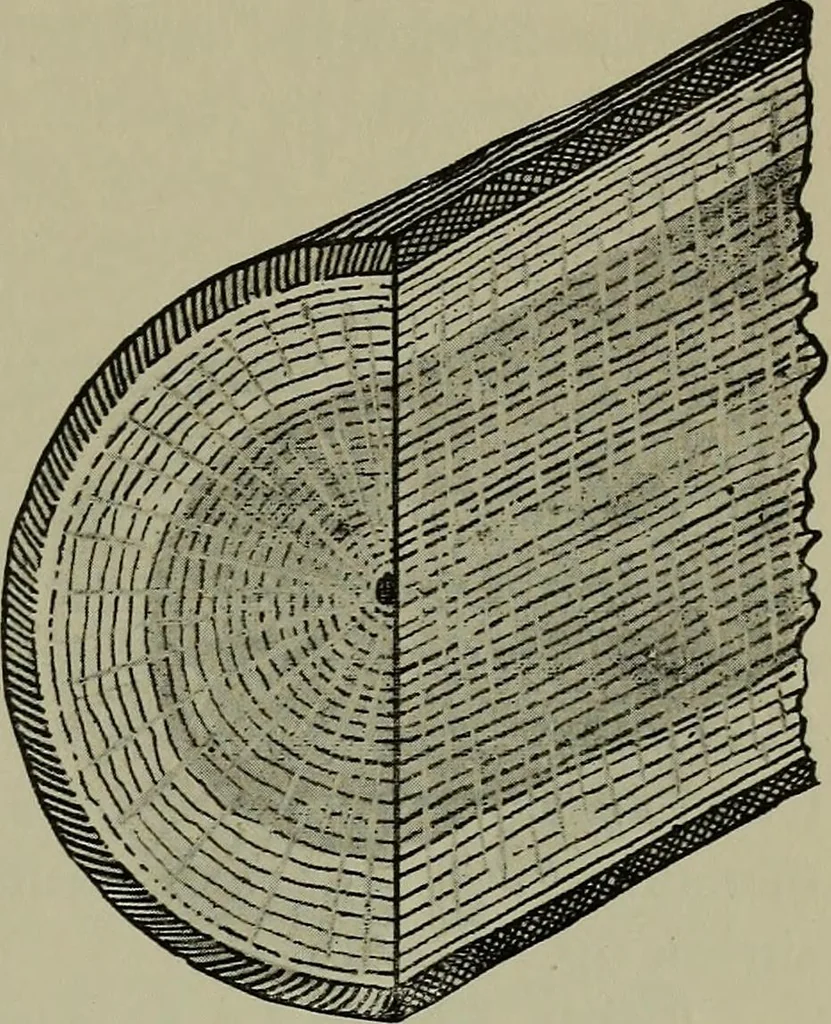 An illustration from Modern cabinetwork, furniture & fitments; an account of the theory & practice in the production of all kinds of cabinetwork & furniture, with chapters on the growth and progress of design and construction;, 1910, leaf 440