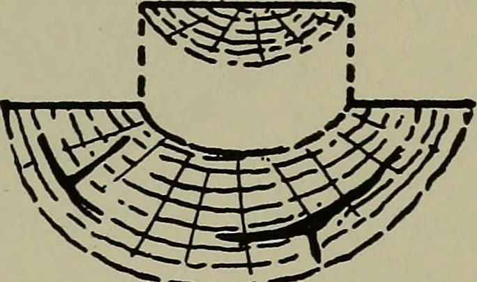 An illustration from Modern cabinetwork, furniture & fitments; an account of the theory & practice in the production of all kinds of cabinetwork & furniture, with chapters on the growth and progress of design and construction;, 1910, leaf 442
