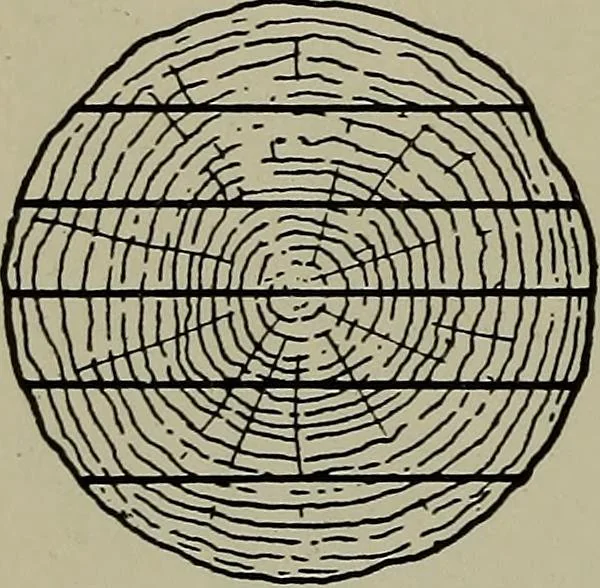 An illustration from Modern cabinetwork, furniture & fitments; an account of the theory & practice in the production of all kinds of cabinetwork & furniture, with chapters on the growth and progress of design and construction;, 1910, leaf 445