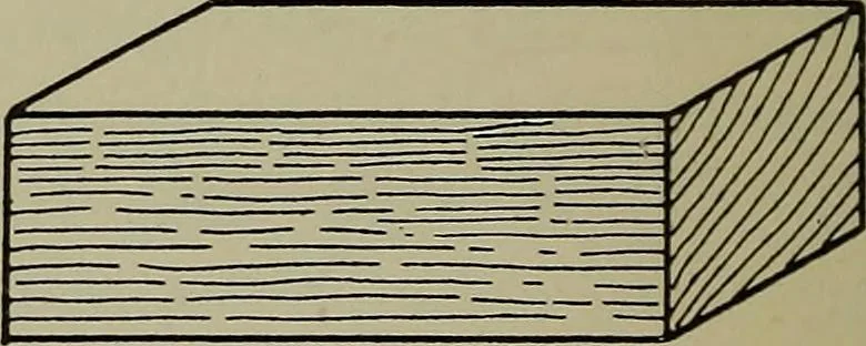 An illustration from Modern cabinetwork, furniture & fitments; an account of the theory & practice in the production of all kinds of cabinetwork & furniture, with chapters on the growth and progress of design and construction;, 1910, leaf 55