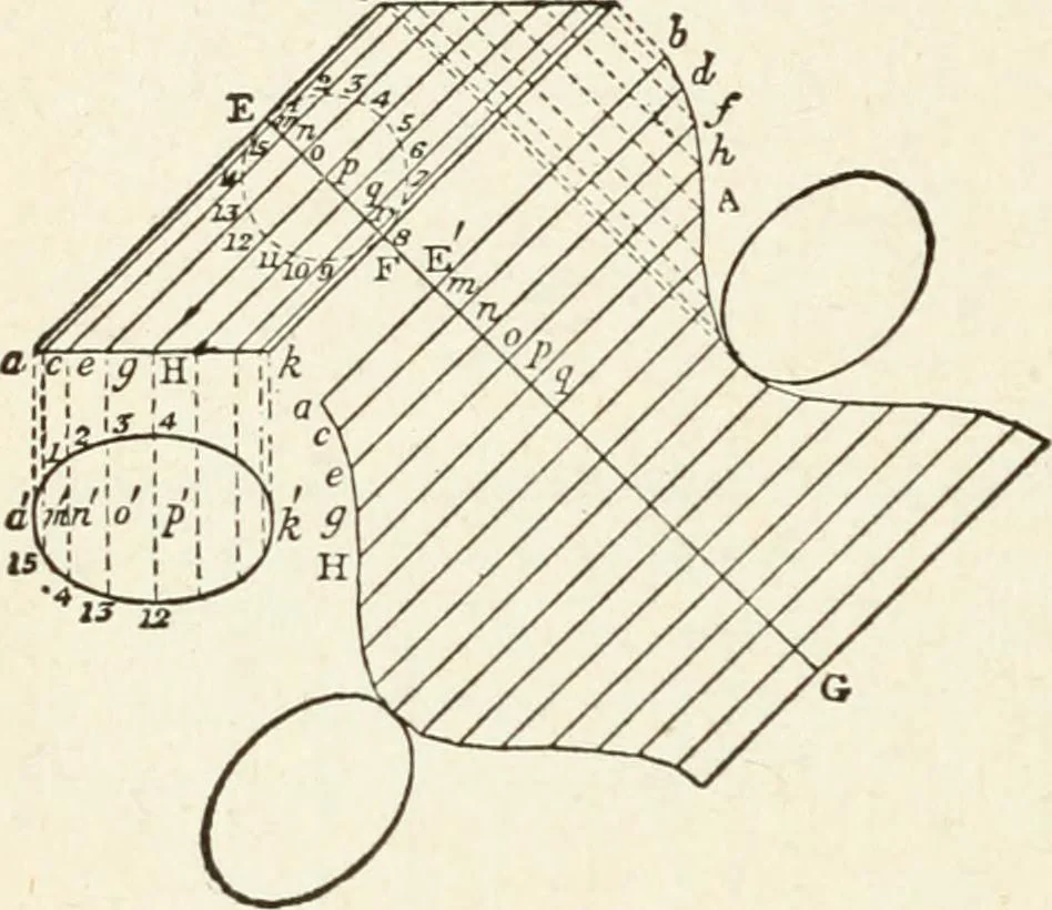 An illustration from Modern carpentry and joinery : being a compilation of the very best things and most modern and practical methods known in the arts of carpentry and joinery, 1910, leaf 109