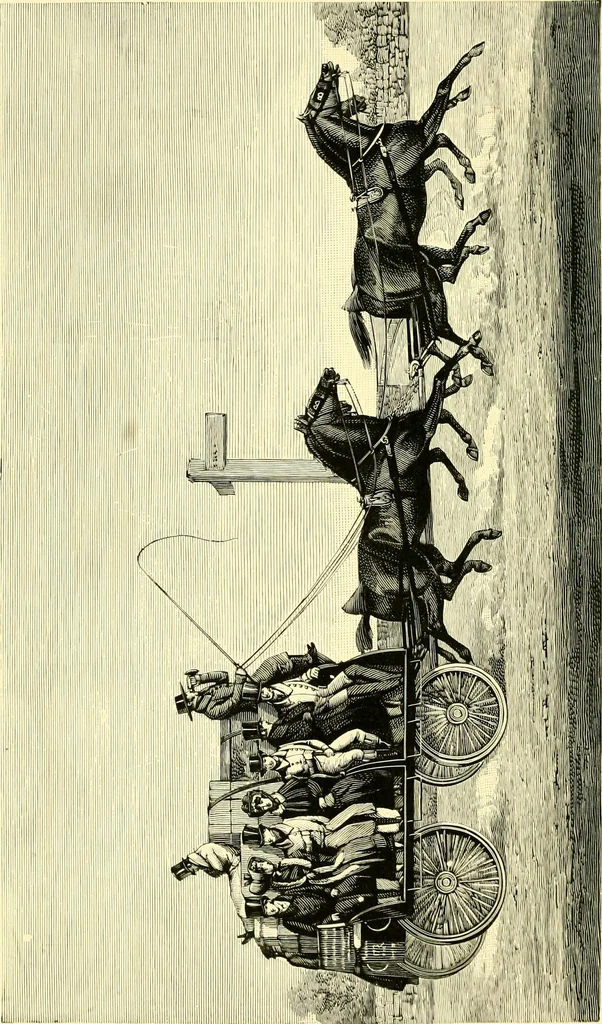 An illustration from Modern carriages, 1905, leaf 109