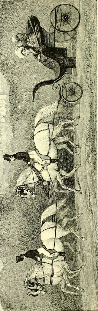 An illustration from Modern carriages, 1905, leaf 81