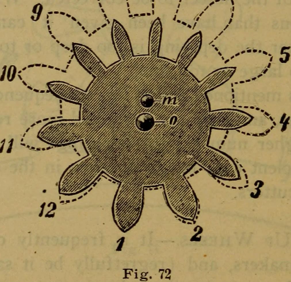 An illustration from The modern clock; a study of time keeping mechanism; its construction, regulation, and repair, 1905, leaf 227