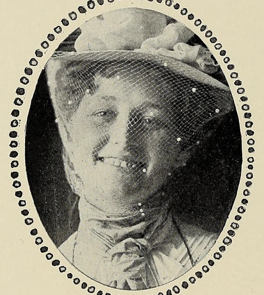 An illustration from Modern daughters; conversations with various American girls and one man, 1899, leaf 158
