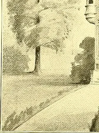 An illustration from Modern dwellings : a book of practical designs and plans for those who wish to build or beautify their homes, 1901, leaf 26