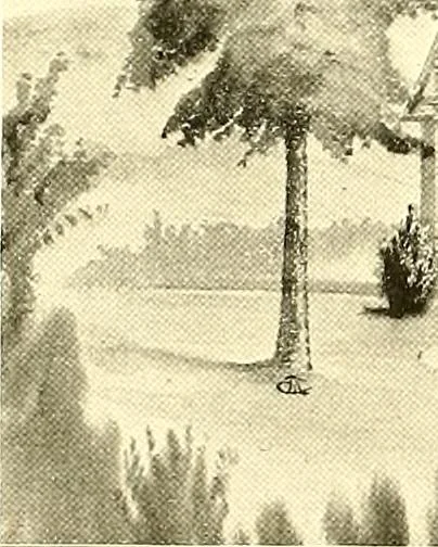An illustration from Modern dwellings : a book of practical designs and plans for those who wish to build or beautify their homes, 1901, leaf 47
