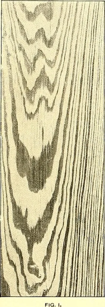 An illustration from Modern dwellings : a book of practical designs and plans for those who wish to build or beautify their homes, 1901, leaf 91