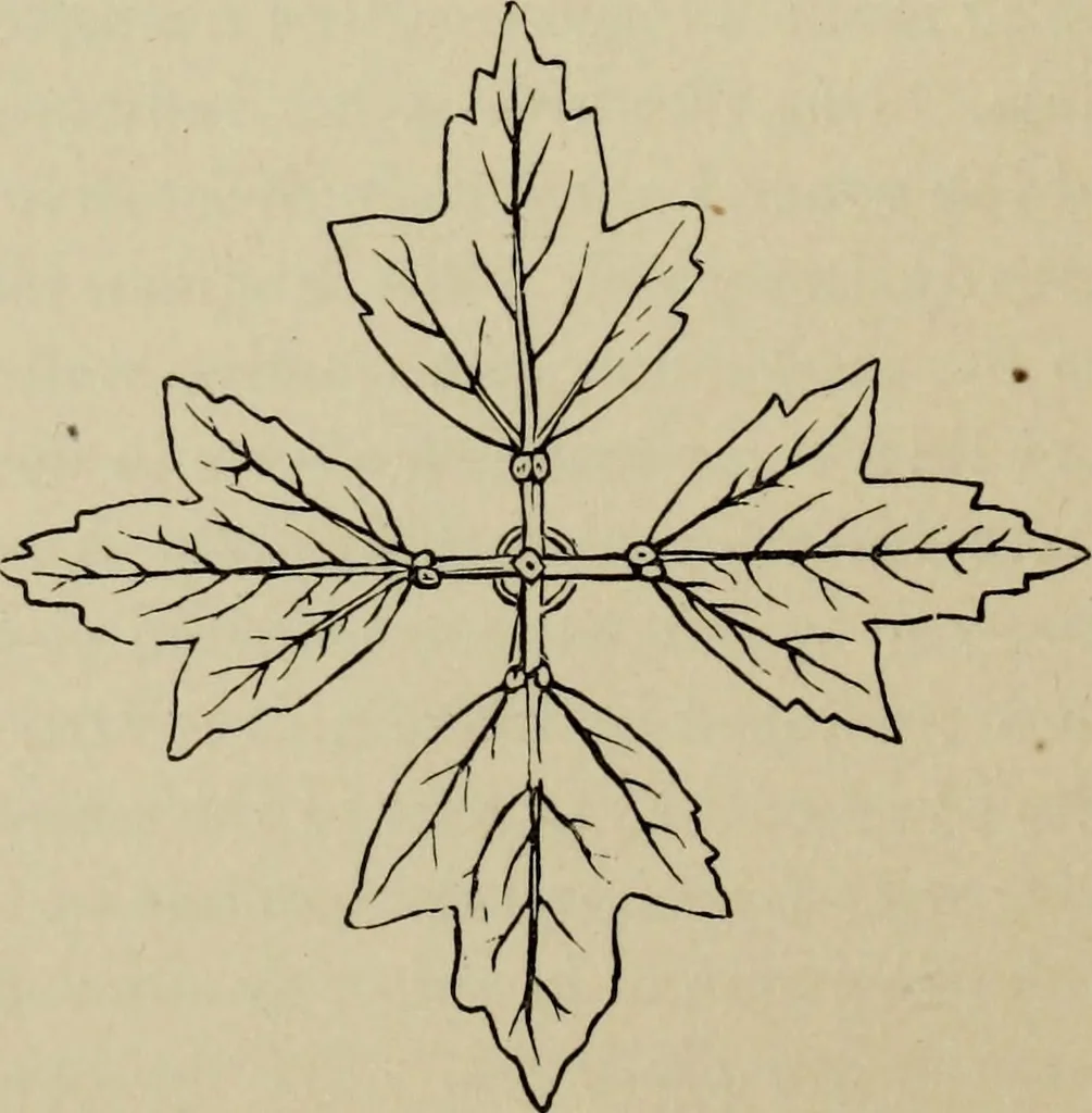 An illustration from Modern dwellings in town and country adapted to American wants and climate with a treatise on furniture and decoration, 1878, leaf 169