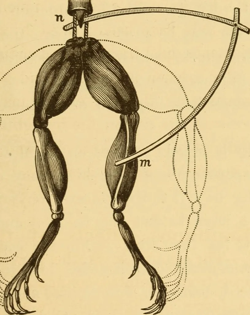 An illustration from Modern electricity and magnetism, theoretically and practically considered, 1885, leaf 112
