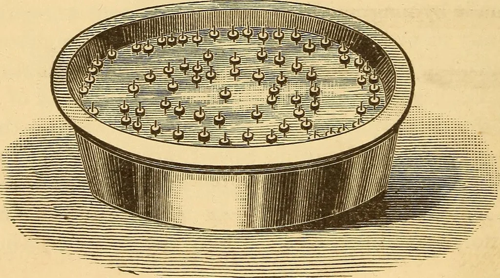 An illustration from Modern electricity and magnetism, theoretically and practically considered, 1885, leaf 135