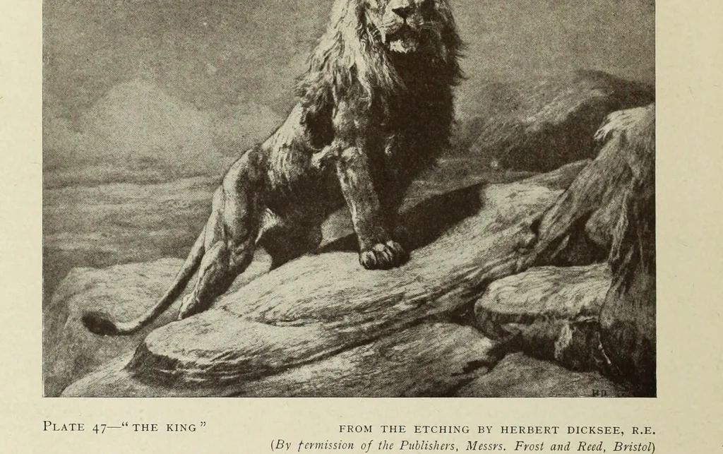 An illustration from Modern etching and engraving, 1902, leaf 107