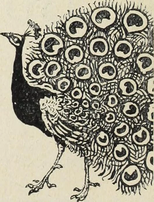 An illustration from Modern etching and engraving, 1902, leaf 15