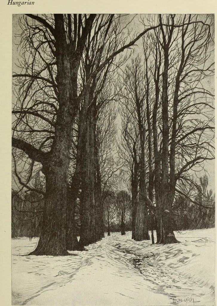 An illustration from Modern etching and engraving, 1902, leaf 222
