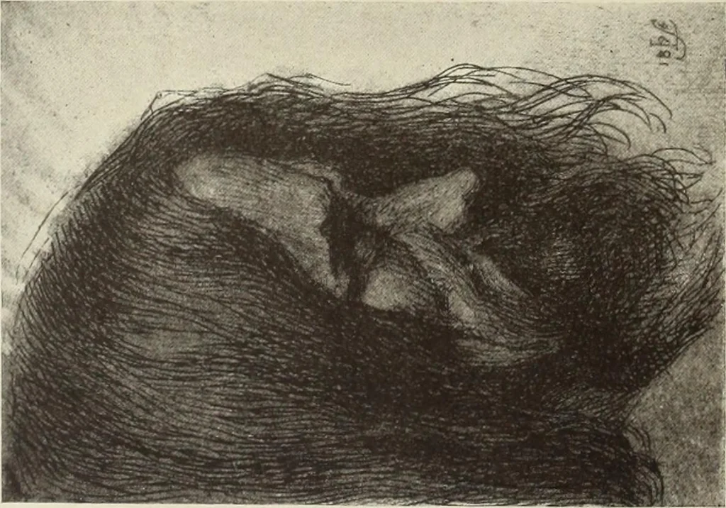An illustration from Modern etching and engraving, 1902, leaf 277