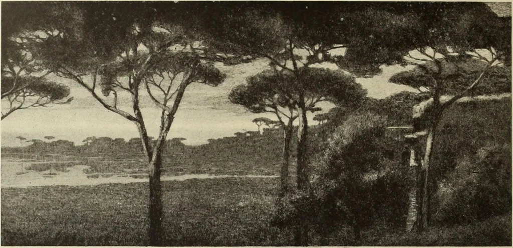 An illustration from Modern etching and engraving, 1902, leaf 287