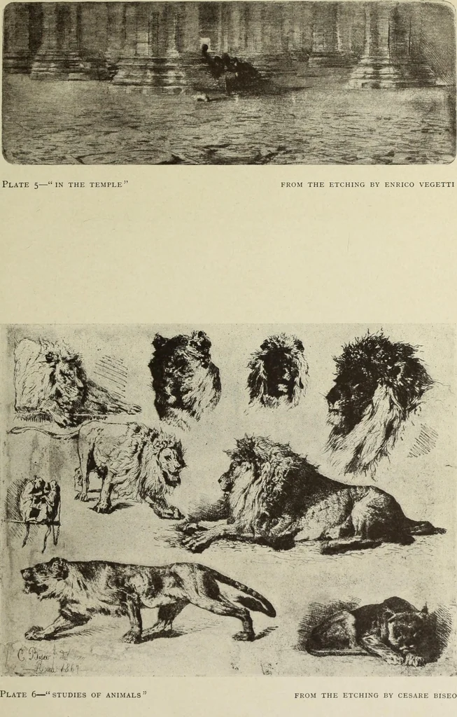 An illustration from Modern etching and engraving, 1902, leaf 288