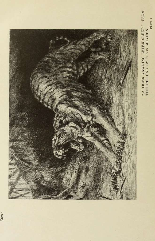 An illustration from Modern etching and engraving, 1902, leaf 299