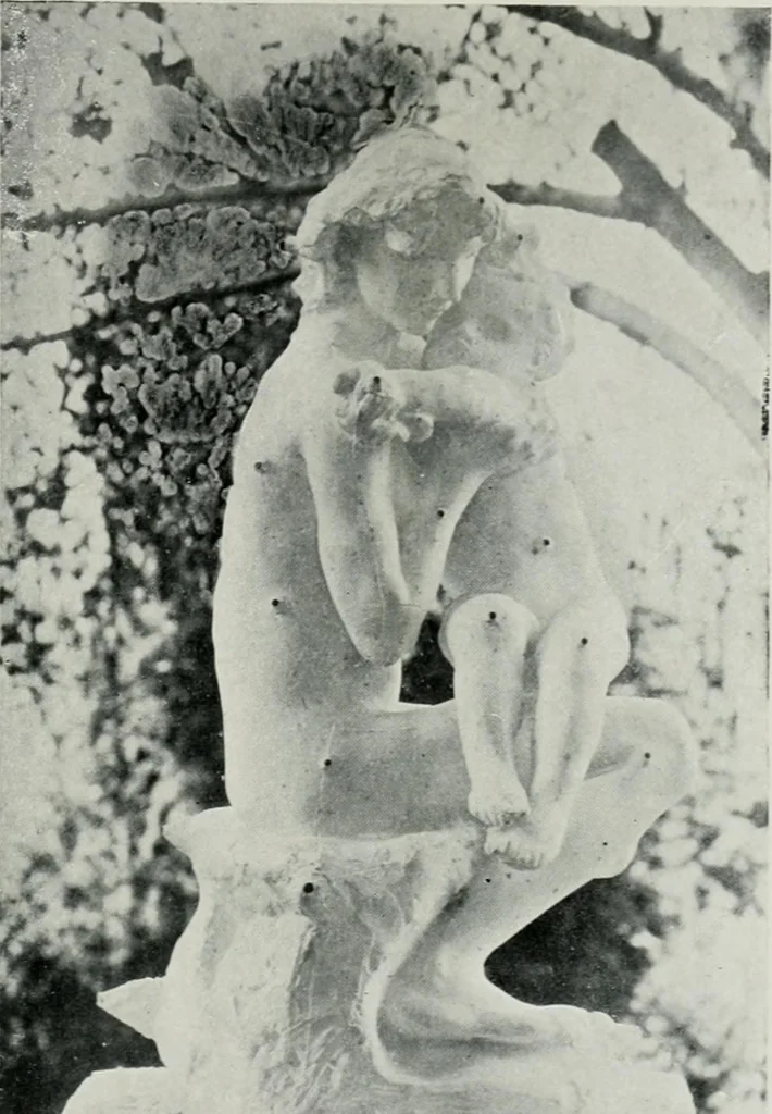 An illustration from Modern French masters, 1904, leaf 88