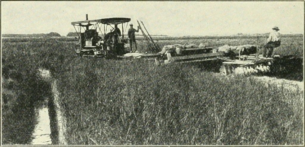 An illustration from The modern gas tractor, its construction, utility, operation and repair: a practical treatise defining every branch of up-to-date gas tractor engineering, driving and maintenance in a non-technical manner. Considers fully all types of power plants and their components, methods of drive and speed changing mechanisms. Describes design and construction as well as practical application of tractors in the field, 1919, leaf 431