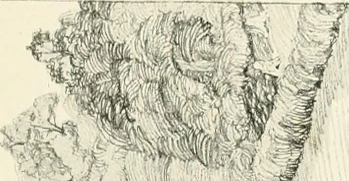 An illustration from The modern home; a book of British domestic architecture for moderate incomes; a companion volume to "The British home of to-day";, 1906, leaf 94