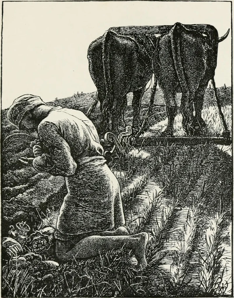 An illustration from Modern illustration, 1895, leaf 220