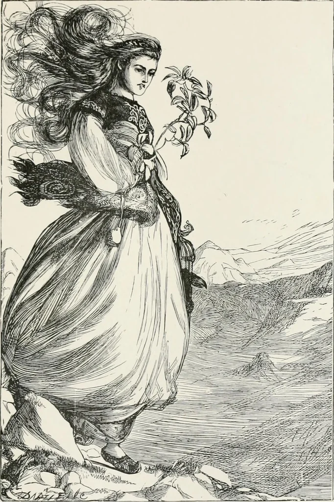 An illustration from Modern illustration, 1895, leaf 230