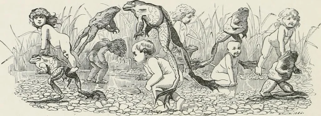 An illustration from Modern illustration, 1895, leaf 257