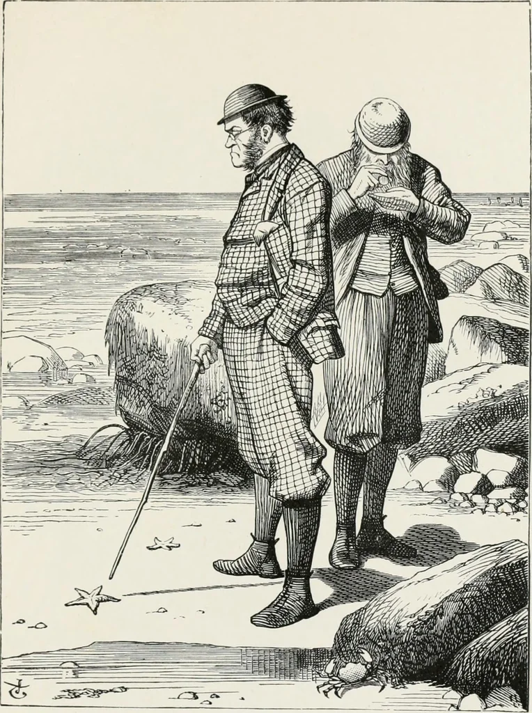An illustration from Modern illustration, 1895, leaf 258