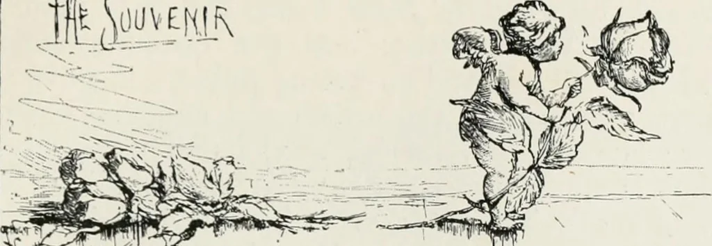 An illustration from Modern illustration, 1895, leaf 310