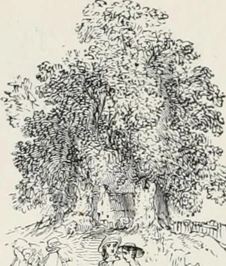 An illustration from Modern illustration, 1895, leaf 69