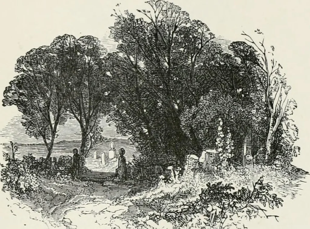 An illustration from Modern illustration, 1895, leaf 90