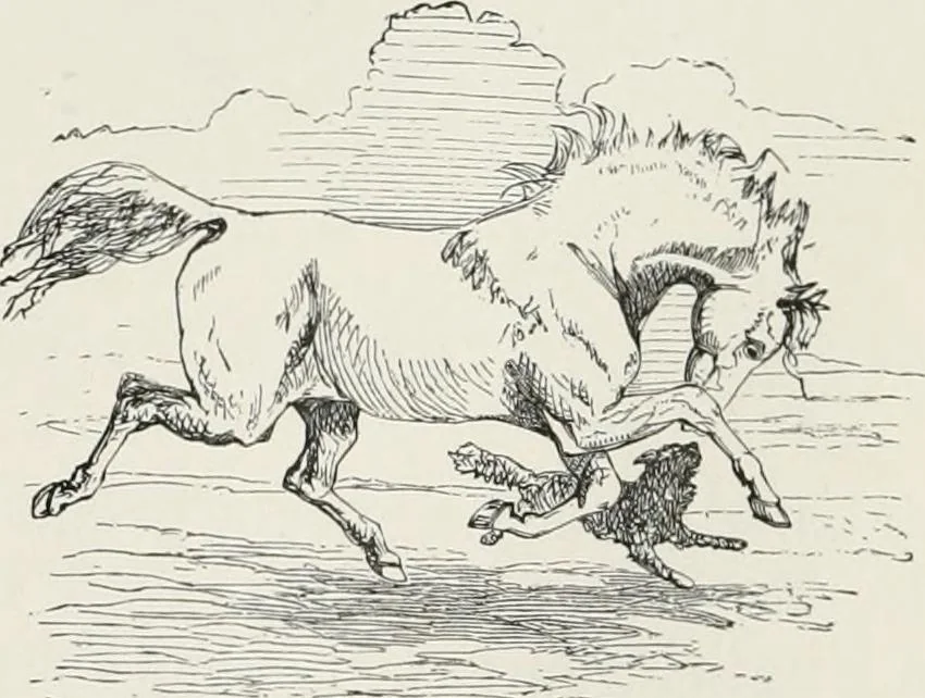 An illustration from Modern illustration, 1895, leaf 91