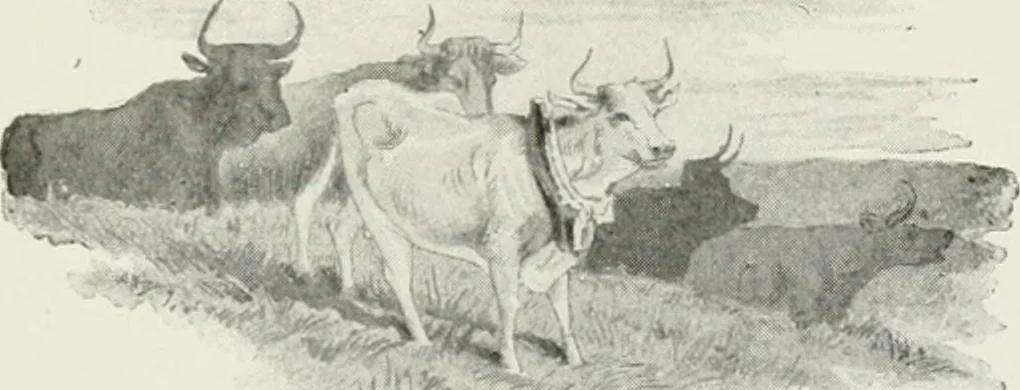 An illustration from Modern illustration, 1895, leaf 92