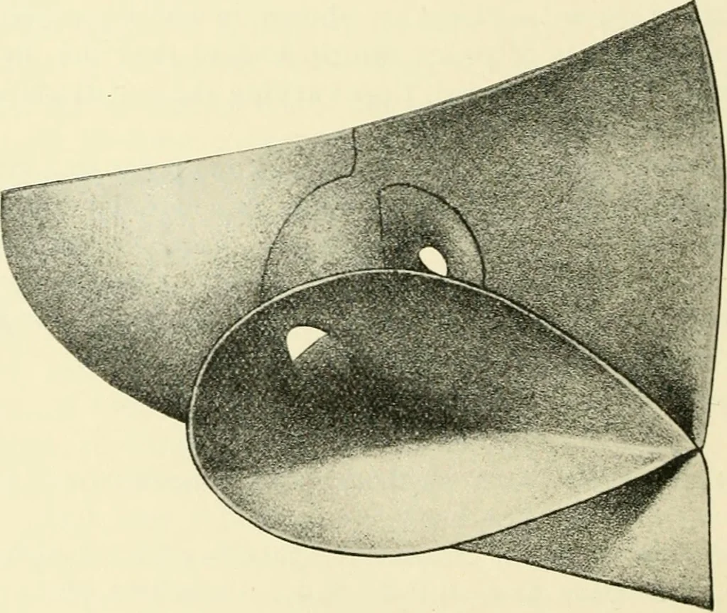 An illustration from Modern instruments and methods of calculation : a handbook of the Napier Tercentenary Exhibition, 1914, leaf 333