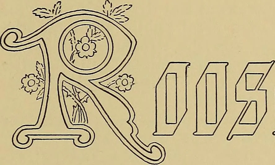 An illustration from Modern lettering, artistic and practical; a thorough and practical text-book for use in schools and colleges and for the self-instruction of architects, artists, decorators and sign writers; the construction of pen and ink designs for commercial uses; advertisements, letter heads, business cards, inscriptions, memorials, resolutions, etc., 1913, leaf 140