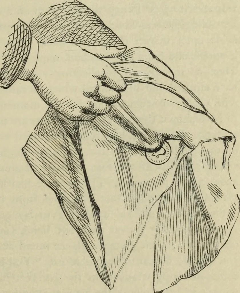 An illustration from Modern magic. : A practical treatise on the art of conjuring., 1885, leaf 190