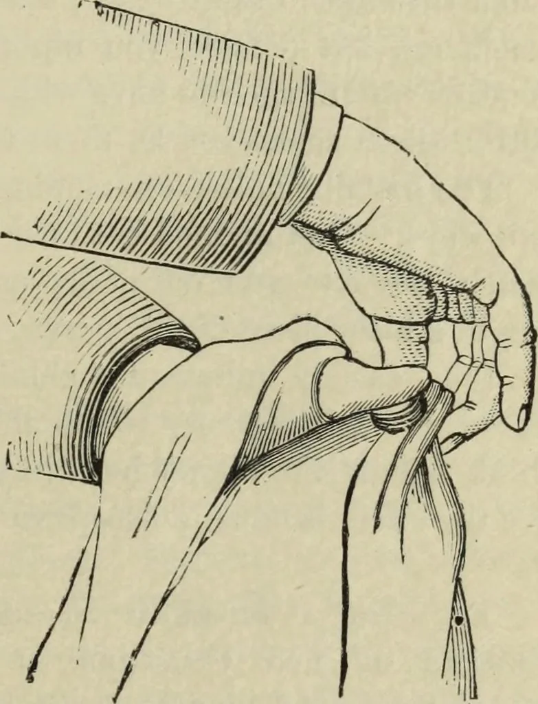 An illustration from Modern magic. : A practical treatise on the art of conjuring., 1885, leaf 192
