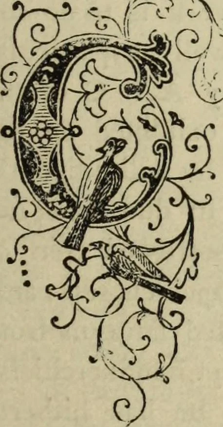An illustration from Modern magic. : A practical treatise on the art of conjuring., 1885, leaf 24