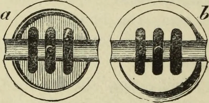 An illustration from Modern magic. : A practical treatise on the art of conjuring., 1885, leaf 255