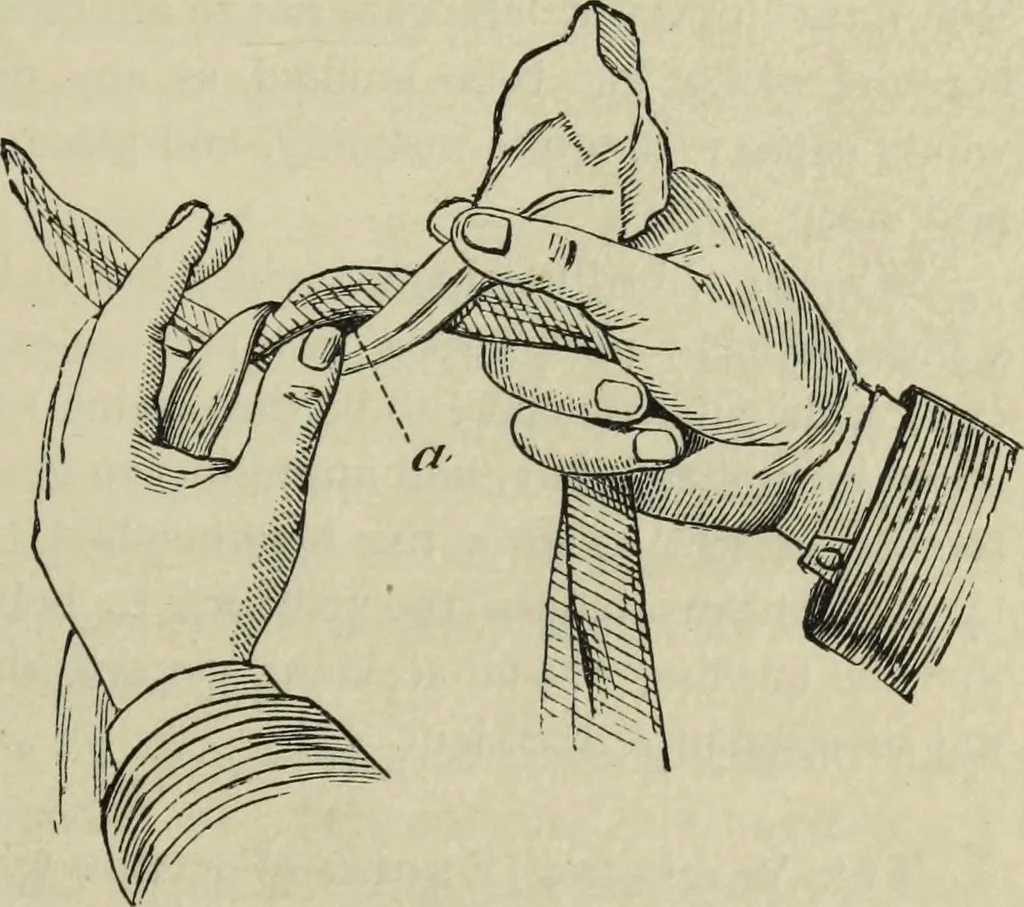 An illustration from Modern magic. : A practical treatise on the art of conjuring., 1885, leaf 260