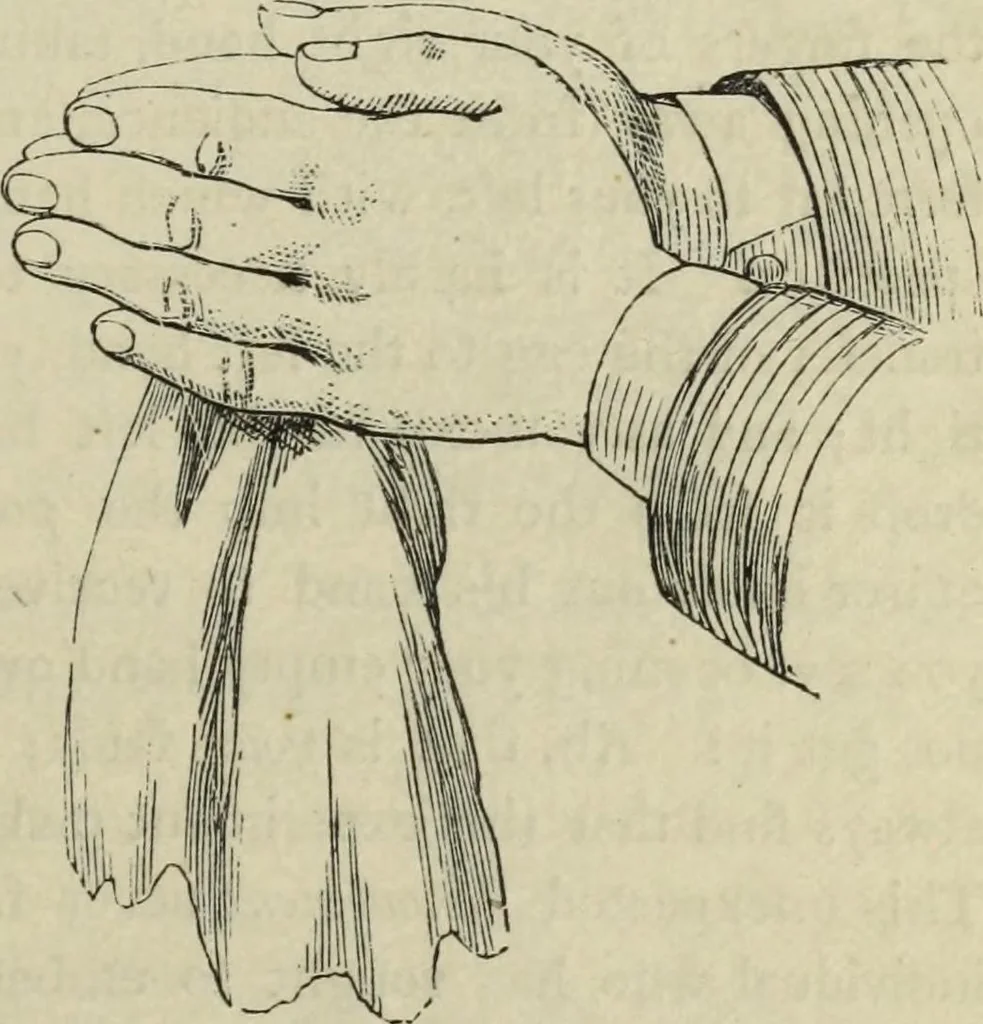 An illustration from Modern magic. : A practical treatise on the art of conjuring., 1885, leaf 284