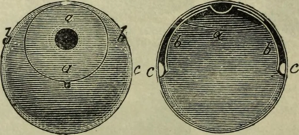 An illustration from Modern magic. : A practical treatise on the art of conjuring., 1885, leaf 329