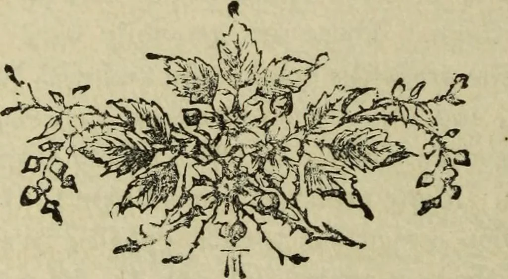 An illustration from Modern magic. : A practical treatise on the art of conjuring., 1885, leaf 33